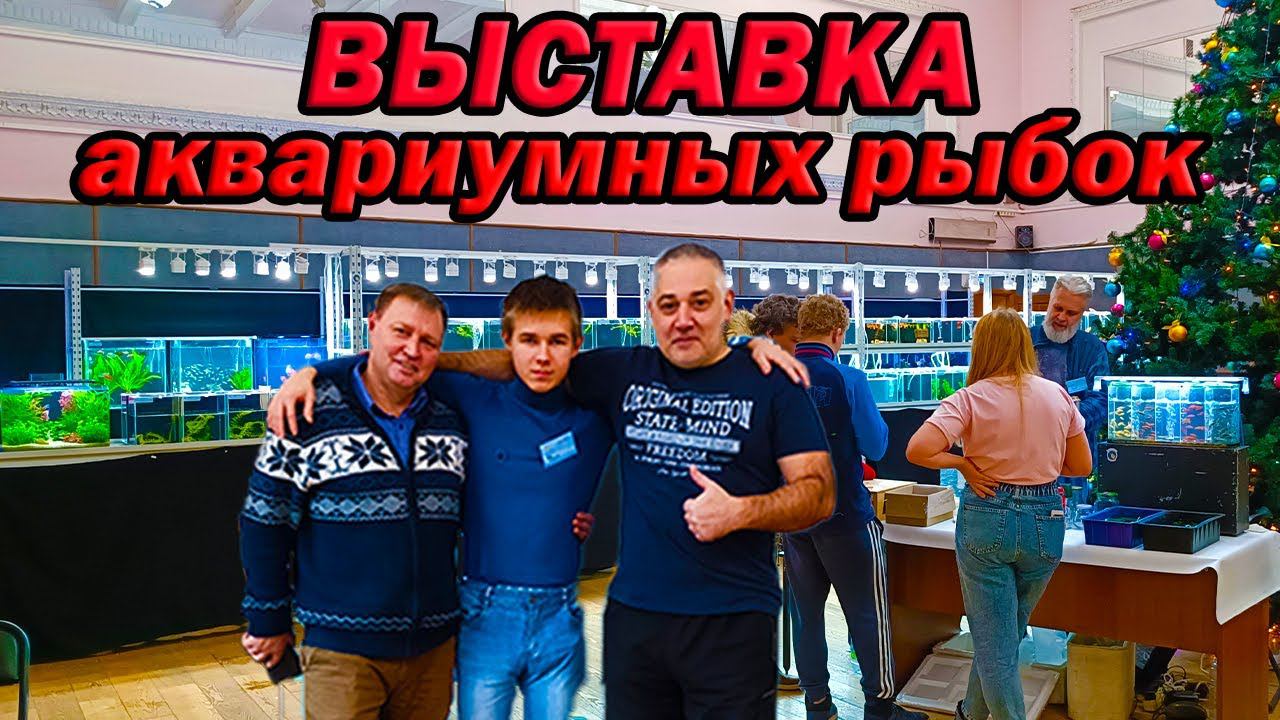 Выставка аквариумных рыбок 2 и 3 день!