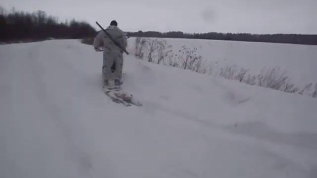 мотособака на охоте.