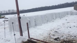 Загон для быков