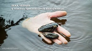 Соплюски: Речка Черная, в поисках пресноводной жемчужницы