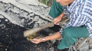 БЫСТРАЯ ЧИСТКА ПОДСОЛНУХА! Домашнее подсолнечное масло. Жизнь в селе.