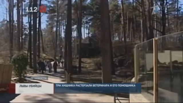 Три льва в зоопарке растерзали ветеринара и его помощника смотреть онлайн