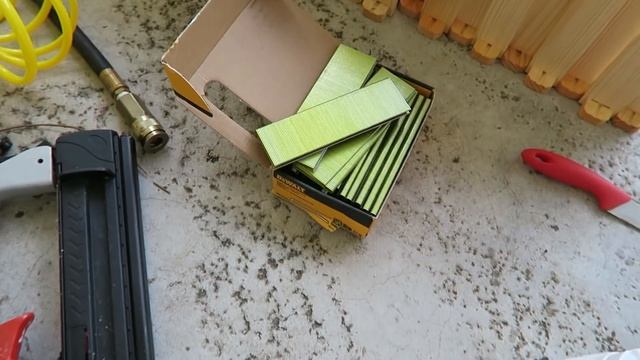 Checking bees March 3rd Florida смотреть онлайн