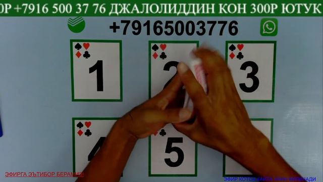 18+карта# уйин#сека #свара #хабарлар #ииб   #покеронлайн