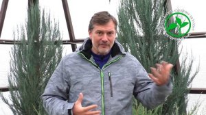 Жан Люк Руазен о прохождении курса в центре восстановления здоровья Устиновой О.И.