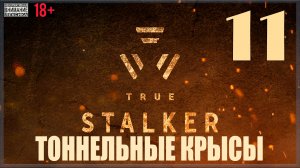 ☢ True Stalker | S.T.A.L.K.E.R. CoP mod #11 Тоннельные крысы