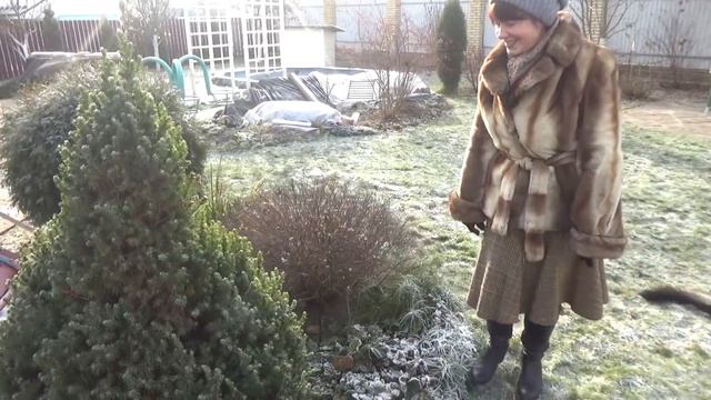 Красивые цветники СВОИМИ РУКАМИ. Подбор растений и композиций для цветников. Готовая СХЕМА цветника