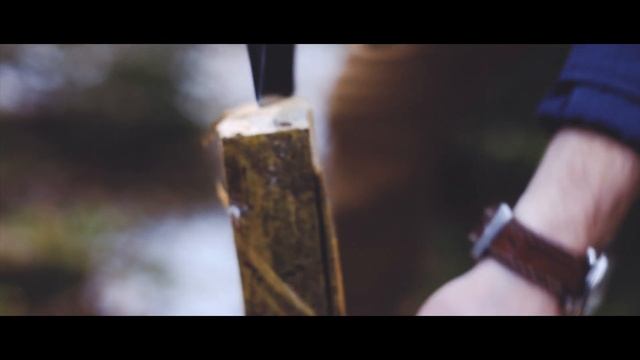 Зарисовки про лес.Кто трещит в лесу? смотреть онлайн