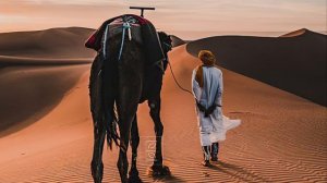 Detmolt , Zuma Dionys , Lukas Endhardt , Lui Mafuta , Santi & Tuğçe - Balance Mix From Galaxy