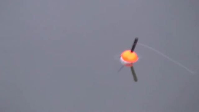 Бешенный клев,!!!,рыбалка на поплавок,ставим фотоловушку смотреть онлайн