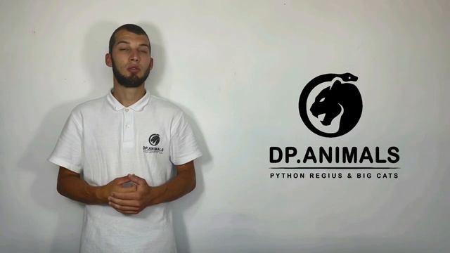 PUZZLE ++ & CLOWN PUZZLE смотреть онлайн