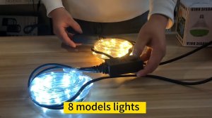 wendadeco led rope lights with controller 101: 10 steps to success