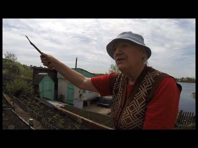 В гостях у садоводов