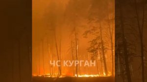 На трассе Екатеринбург – Курган происходит полный треш из-за сильного возгорания леса