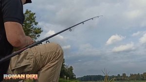 Рыбалка на р.Одра. Голавль на куриную печень и сомик впридачу)))