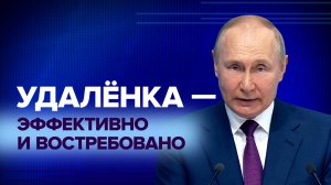 Путин поддержал идею создать «атлас удалённых профессий» в России