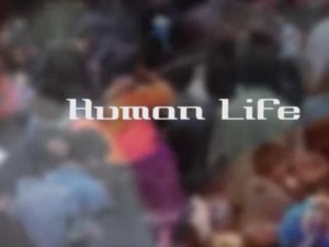 ЭВОЛЮЦИЯ ЖИЗНИ. Жизнь человека