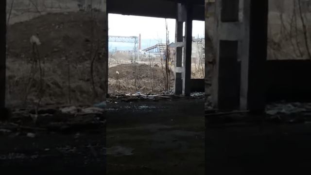 марадёры грабят тайшетский завод зрдсм