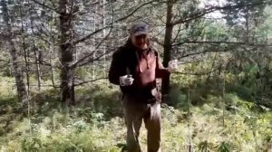 Как собирать грибы, мастер-класс для начинающих)))