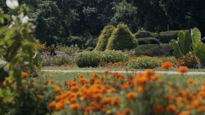 Best Cinema Camera? Pocket 6K vs Arri Alexa vs RED Raven vs URSA Mini Pro