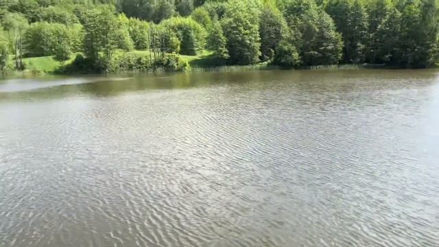 Рыбалка Дятлово Карась Окунь 4K смотреть онлайн