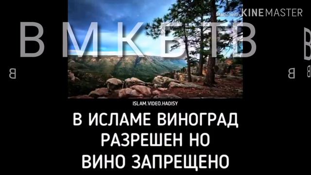 ШАЙТАН НАС ОДУРАЧИЛ😈😈😈😈😈😈😠 смотреть онлайн