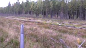 ОХОТА НА ОДНОМ ДЫХАНИИ! На лося с лайкой и дворнягой