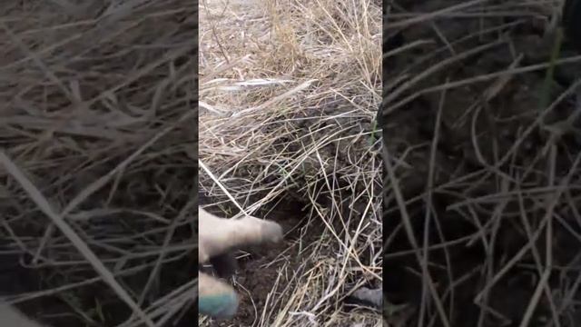 Коп металла,как отдых после работы!!! смотреть онлайн