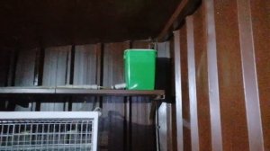 Как сделать автоматические поилки для перепелов / разведение перепелов полезные советы