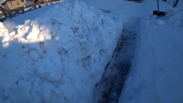 Домик для скворцов смотреть онлайн