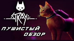 STRAY Пушистый обзор