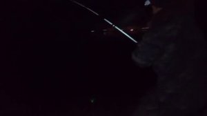 Ловля НАЛИМА осенью!!! Наживка Креветка, Тюлька, Червь. Что предпочтёт?