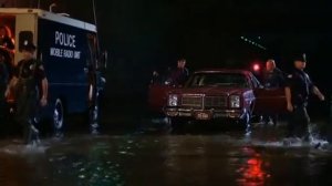 Alligator \ Аллигатор