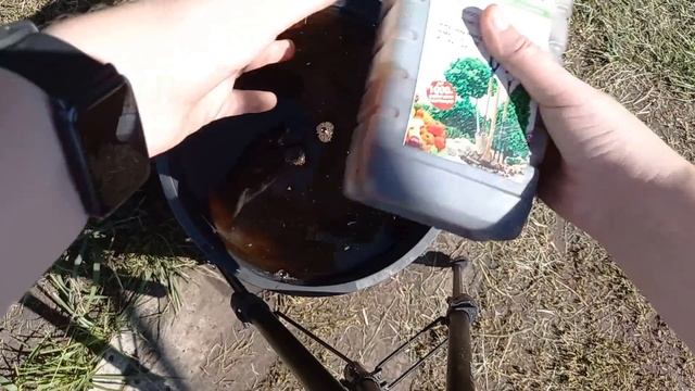 Огурцы прут как бешеные! Всего 2 удобрения и Огурцы засыплют Вас урожаем