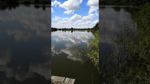 Рыбалка в Липецке