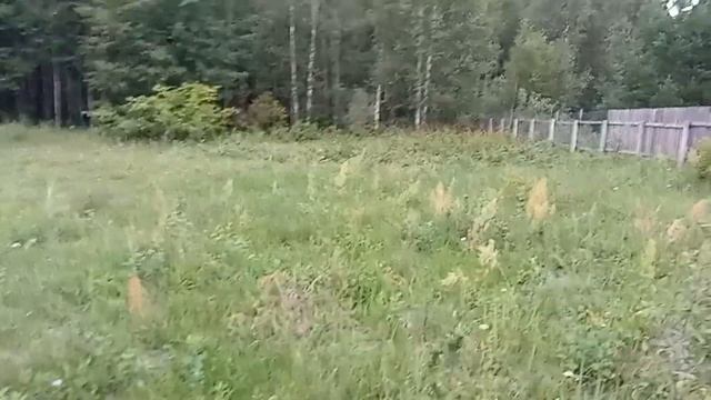 Начинаем строить ещё один дом из клееного бруса. смотреть онлайн