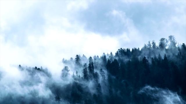 Почему НЕЛЬЗЯ никому рассказывать о своих грехах?  7 640  221 смотреть онлайн