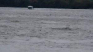 видео работа реданов