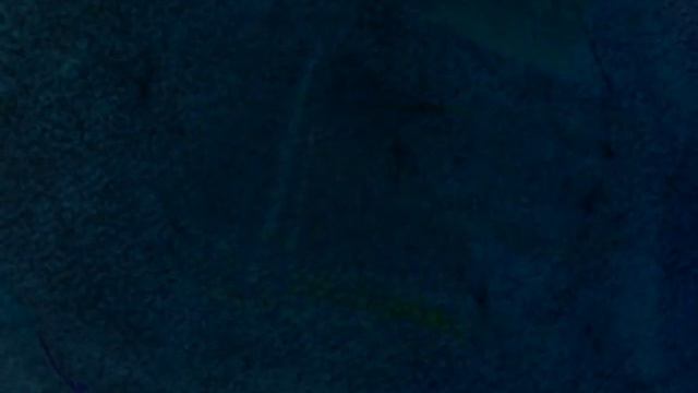 The Magpie`s gossip \ Сорочьи сплетни, 2007 смотреть онлайн