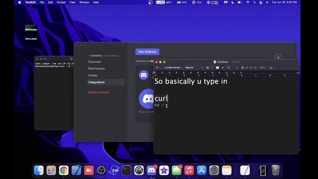 how to delete a discord webhook by using terminal or command prompt