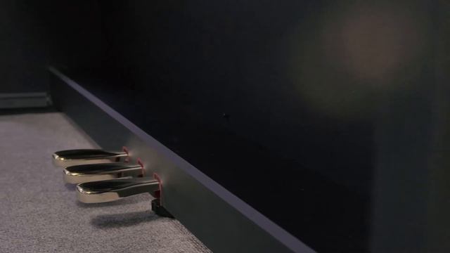 Piano Casio Celviano Grand Hybrid GP 310 - tenha a magia dos principais pianos do mundo em casa! смотреть онлайн