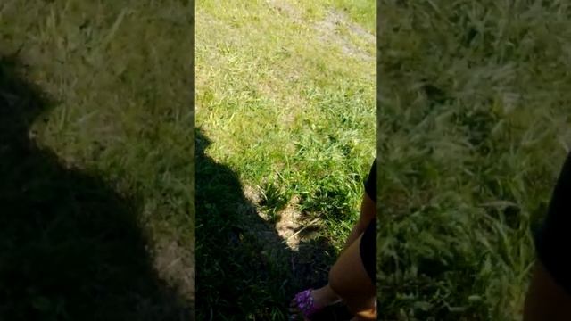 Мои подружки. Достопримечательности деревни. (2) смотреть онлайн