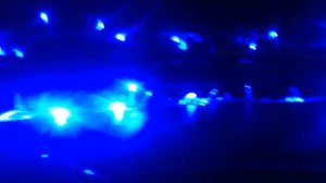 гирлянда в авто