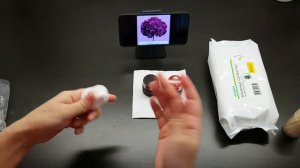 Гортензия из полимерной глины. 1 часть видео мастер-класса