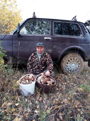 БЕЛЫЕ ГРИБЫ В ОКТЯБРЕ ПОСЛЕ МОРОЗА