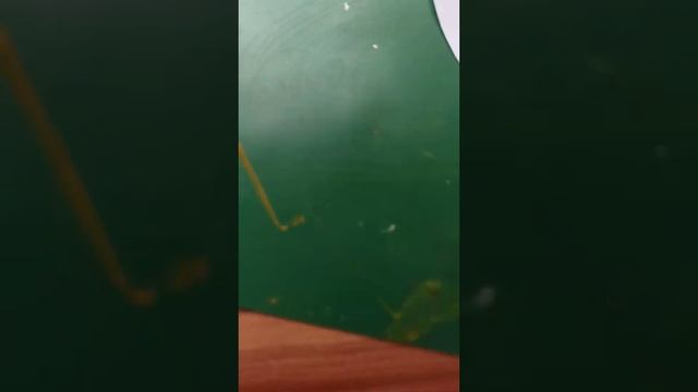 Маска Кошки из бумаги очень легко