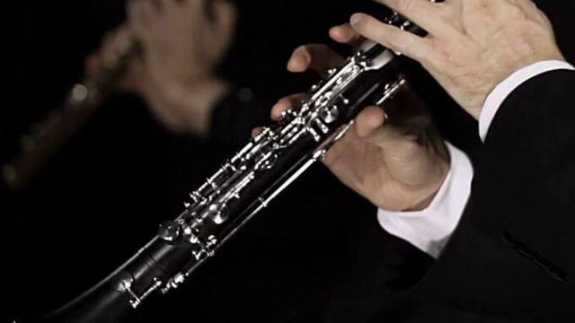 Era - Ameno Clarinet Cover Klarnet Cover