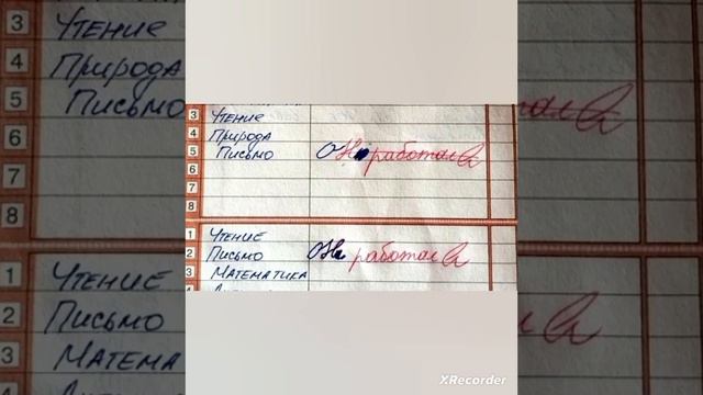 смешные ответы в школьных тетрадях