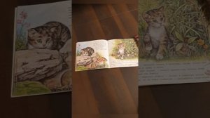 Ирина Гурина "Приключения котёнка"