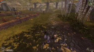 Fable TLC: Местонахождение всех воробьев и яблок в Гильдии! + Секрет боя с жуками